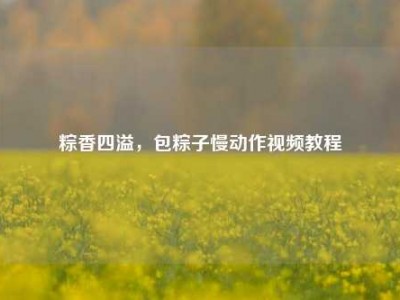 粽香四溢，包粽子慢动作视频教程