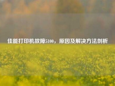 佳能打印机故障5100，原因及解决     剖析