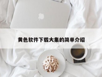 黄色软件下载大集的简单介绍