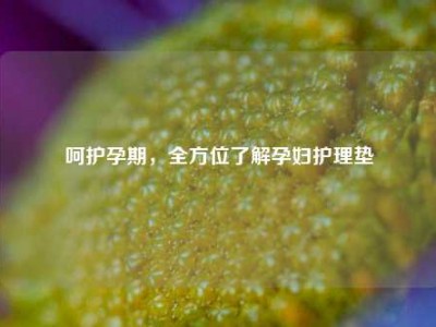 呵护孕期，全方位了解孕妇护理垫