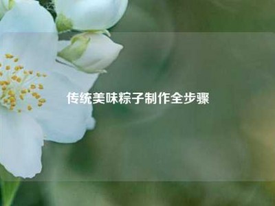 传统美味粽子     全步骤
