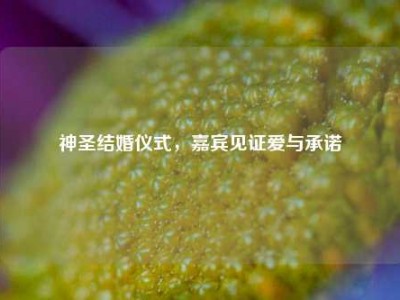 神圣结婚仪式，嘉宾见证爱与承诺