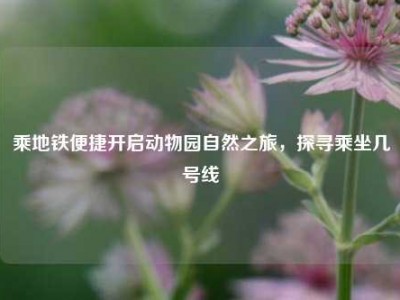 乘地铁便捷开启动物园自然之旅，探寻乘坐几号线