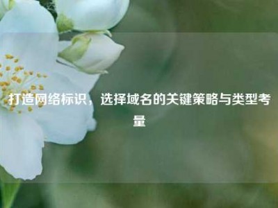 打造     标识，选择域名的关键策略与类型考量