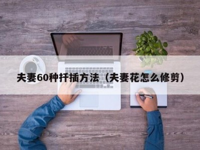 夫妻60种扦插方法（夫妻花怎么修剪）