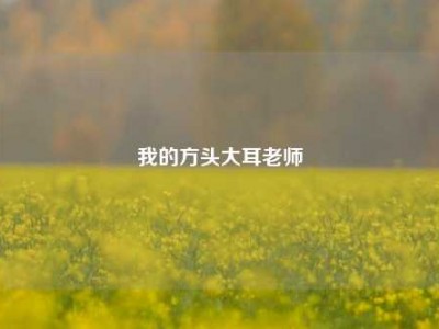 我的方头大耳老师