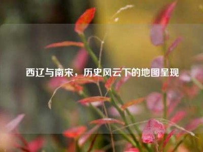西辽与南宋，历史风云下的地图呈现