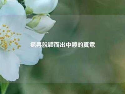 探寻脱颖而出中颖的真意