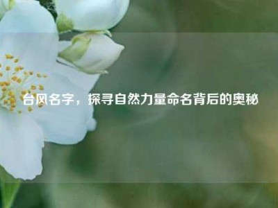 台风名字，探寻自然力量命名背后的奥秘