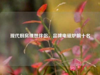 现代厨房理想伴侣，品牌电磁炉前十名