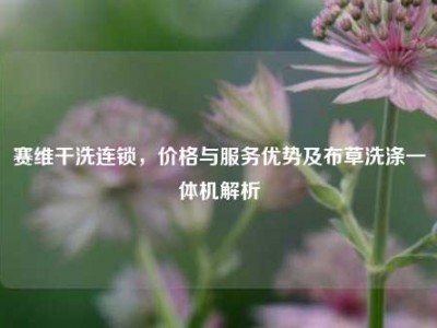 赛维干洗连锁，价格与服务优势及布草洗涤一体机解析