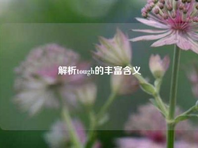 解析tough的丰富含义