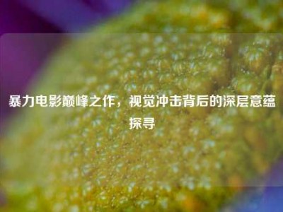 暴力电影巅峰之作，视觉冲击背后的深层意蕴探寻