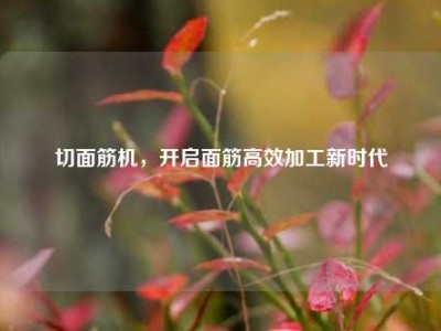 切面筋机，开启面筋高效加工新时代