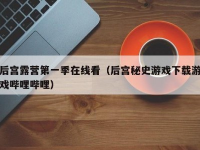 后宫露营第一季在线看（后宫秘史游戏下载游戏哔哩哔哩）