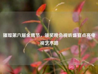 璀璨第六届金鹰节，颁奖晚会视听盛宴点亮电视艺术路