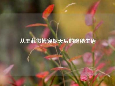从王菲微博窥探天后的隐秘生活