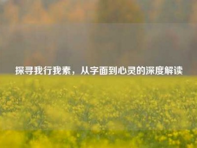 探寻我行我素，从字面到心灵的深度解读