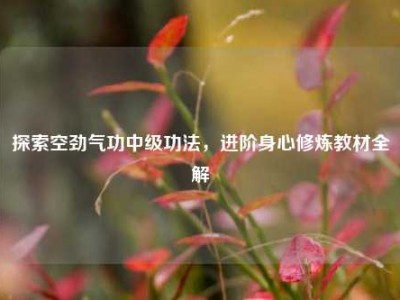 探索空劲气功中级功法，进阶身心修炼教材全解