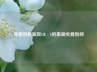 深度剖析新款CR - V的表现究竟如何