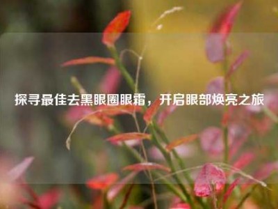 探寻更佳去黑眼圈眼霜，开启眼部焕亮之旅