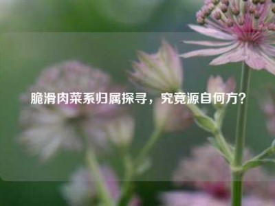 脆滑肉菜系归属探寻，究竟源自何方？