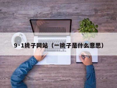 9·1挑子网站（一挑子是什么意思）