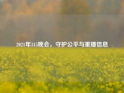 2021年315晚会，守护公平与重播信息