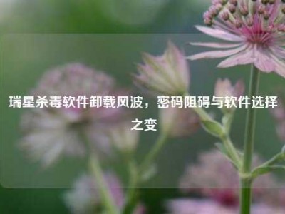 瑞星杀毒软件卸载风波，密码阻碍与软件选择之变