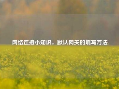      连接小知识，默认网关的填写     