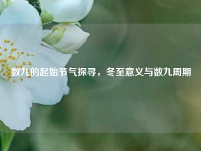 数九的起始节气探寻，冬至意义与数九周期