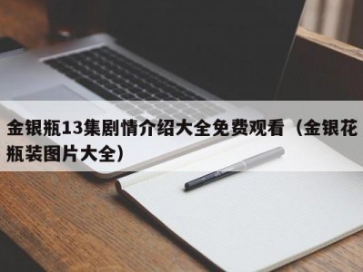 金银瓶13集剧情介绍大全免费观看（金银花瓶装图片大全）