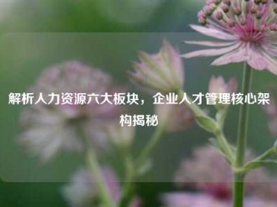 解析人力资源六大板块，企业人才管理核心架构揭秘