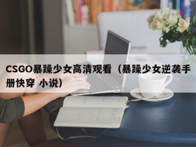 CSGO暴躁少女高清观看（暴躁少女逆袭手册快穿 小说）