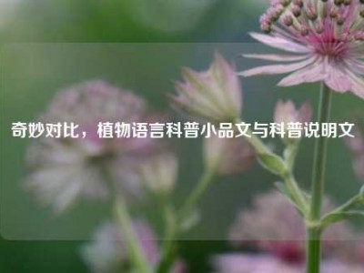 奇妙对比，植物语言科普小品文与科普说明文