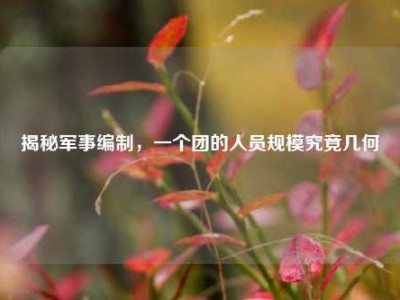 揭秘军事编制，一个团的人员规模究竟几何