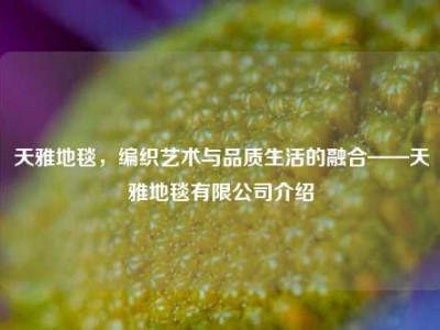 天雅地毯，编织艺术与品质生活的融合——天雅地毯有限公司介绍
