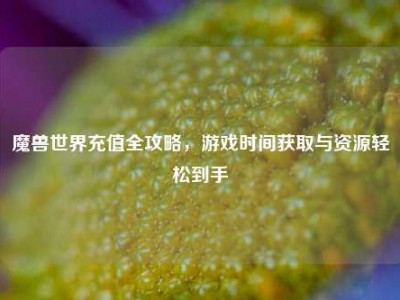 魔兽世界充值全攻略，游戏时间获取与资源轻松到手