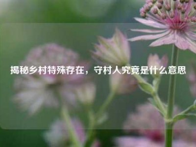 揭秘乡村特殊存在，守村人究竟是什么意思