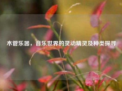 木管乐器，音乐世界的灵动精灵及种类探寻