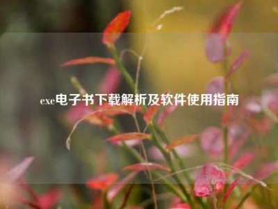 exe电子书下载解析及软件使用指南