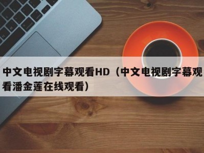 中文电视剧字幕观看HD（中文电视剧字幕观看潘金莲在线观看）