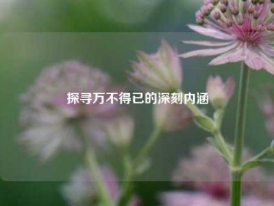 探寻万不得已的深刻内涵