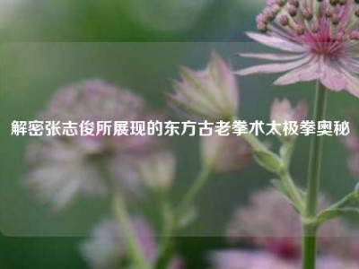 解密张志俊所展现的东方古老拳术太极拳奥秘