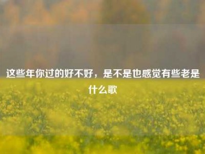 这些年你过的好不好，是不是也感觉有些老是什么歌