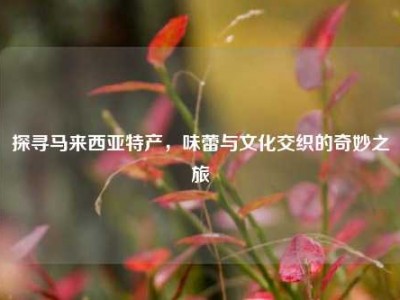 探寻马来西亚特产，味蕾与文化交织的奇妙之旅
