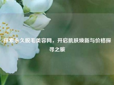 探索永久脱毛美容网，开启肌肤焕新与价格探寻之旅