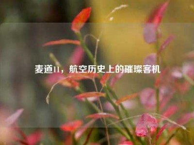 麦道11，航空历史上的璀璨客机