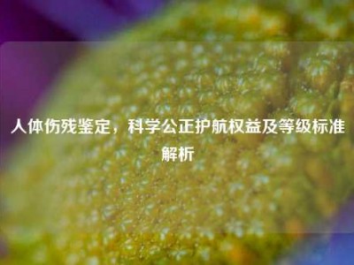 人体伤残鉴定，科学公正护航权益及等级标准解析