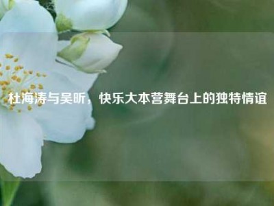 杜海涛与吴昕，快乐大本营舞台上的独特情谊